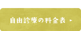 自費診療の料金表